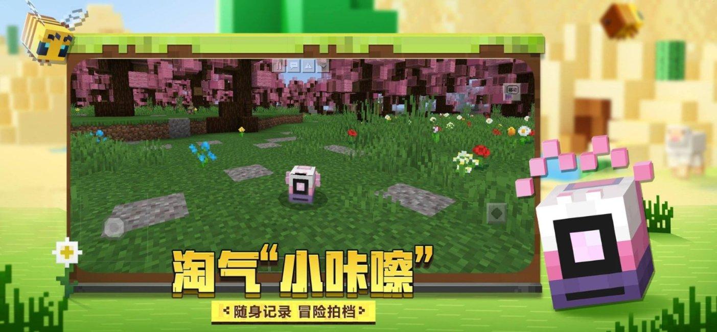 消除危害中巴走廊的毒瘤，中方和巴基斯坦对表，跟伊朗也打好招呼